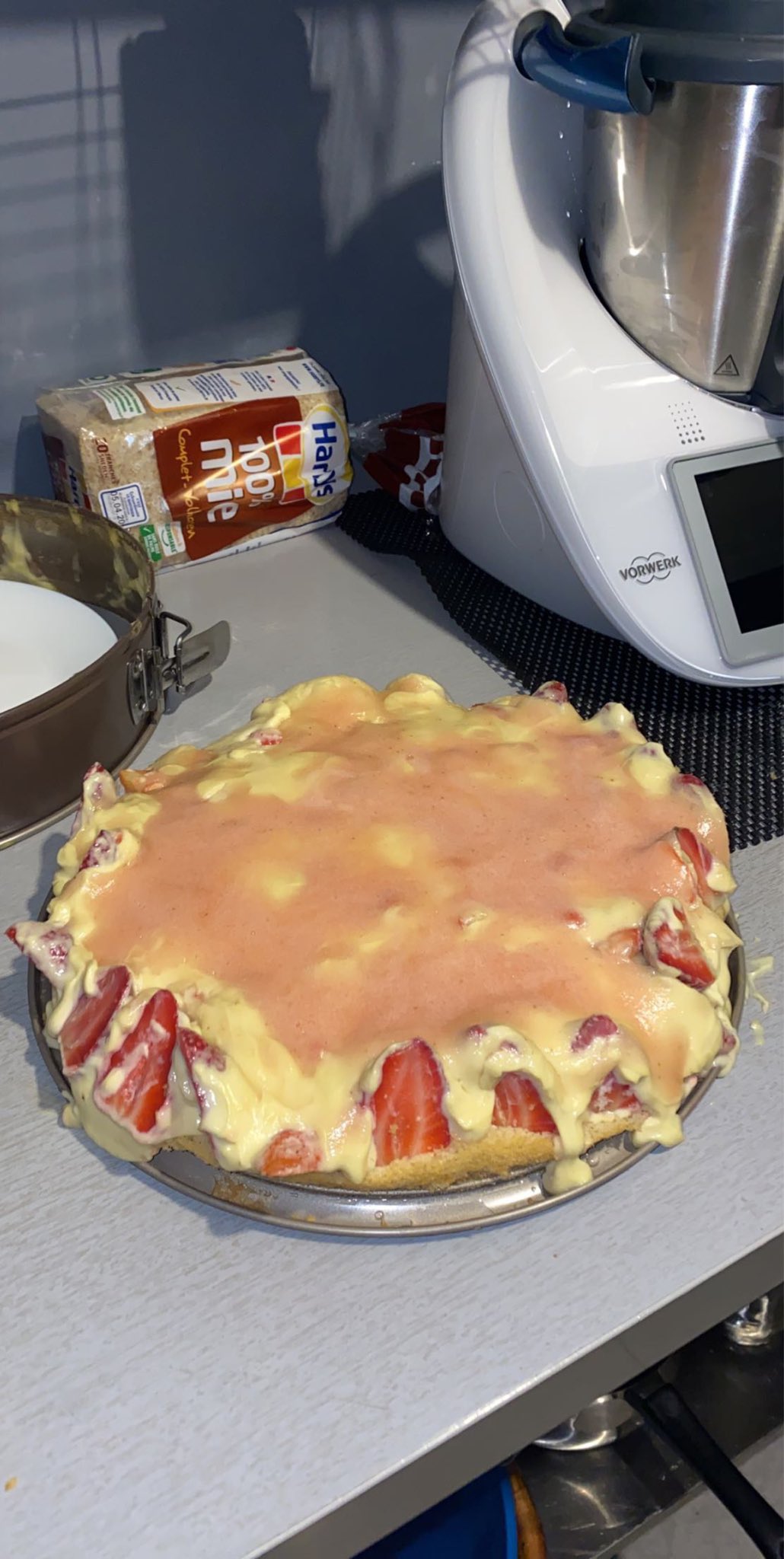 Mani Ptdr J Ai Reussi A Rater Un Fraisier Meme Avec Le Thermomix Vsy Jvai Retourner Dormir C Mieux