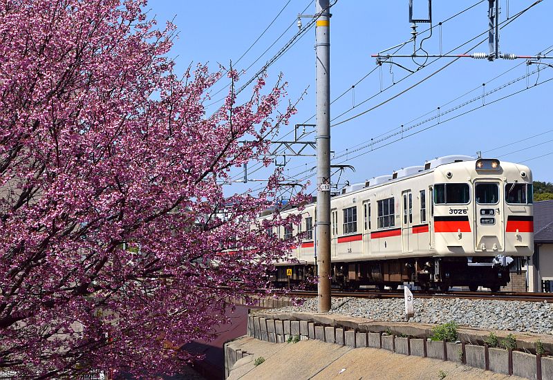 貴志川太郎／コトキチ／クハ１０５大好き＠京都ＬＯＶＥ on Twitter