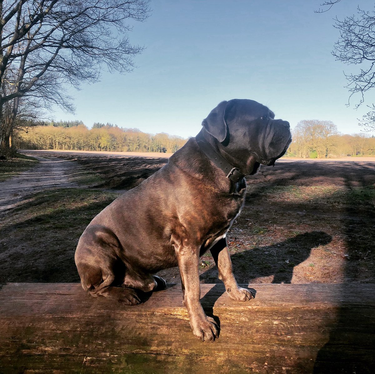 Some things will never change 😉