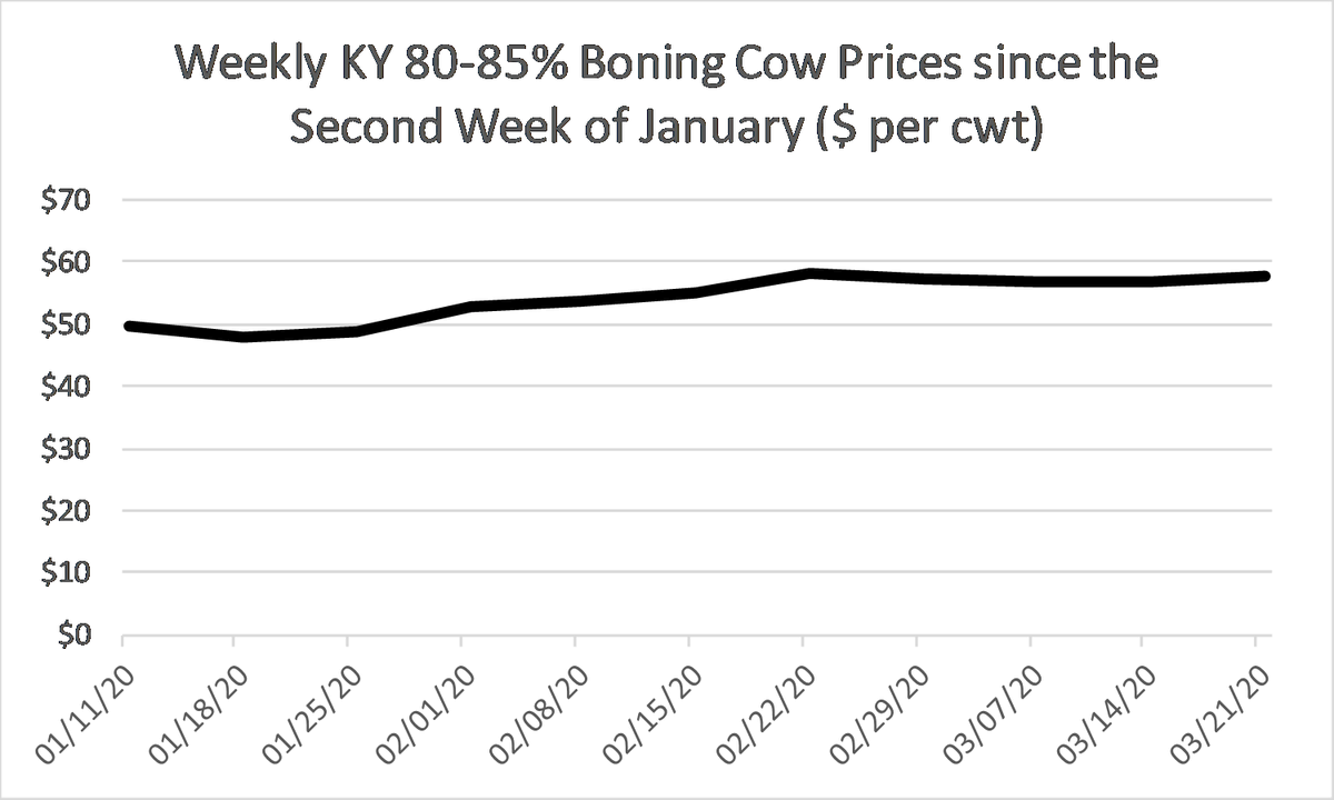KYCattleEcon's tweet photo. Want some positive cattle market news? @USDA_AMS weekly price data shows cull cow prices holding very well in this market. Likely a result of swift ground beef movement. #KYCattleMarkets https://t.co/Doajpd5ah3