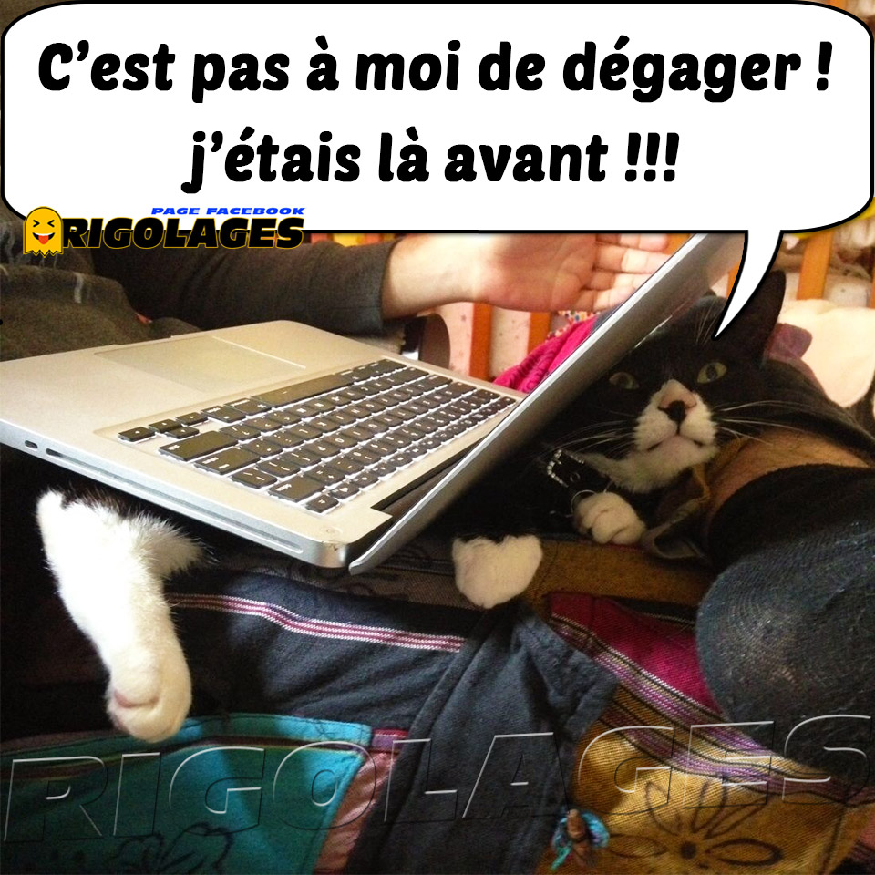 توییتر Rigolages در توییتر Humour Rigolages Chat Ordinateur Teletravail Alamaison Restezchezvous T Co Oqafi1tydk توییتر Rigolages در توییتر Humour Rigolages Chat Ordinateur Teletravail Alamaison Restezchezvous T Co Oqafi1tydk