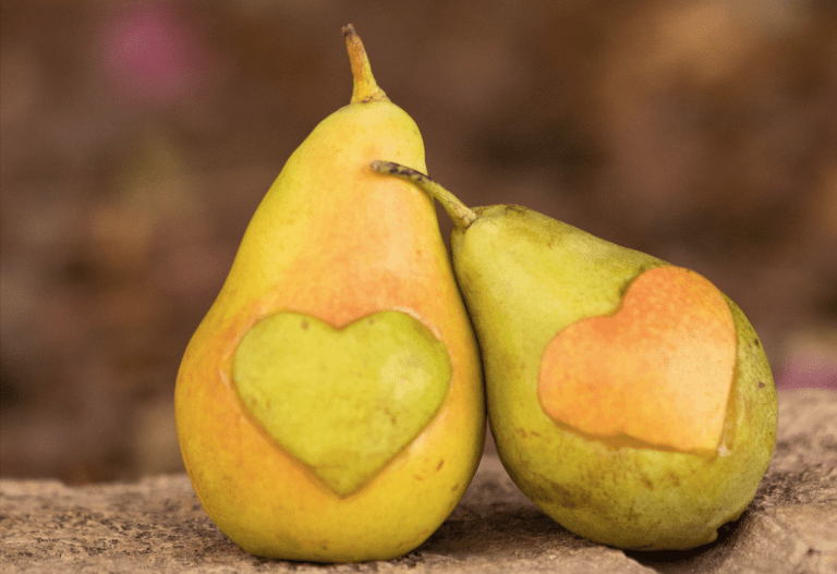 Le guide de survie #antigaspi pour le #confinement : toutes les astuce et recettes pour t'aider à tout optimiser en cuisine ! 

#zerodechet #restezchezvous

saveeat.co/10-astuces-ant…