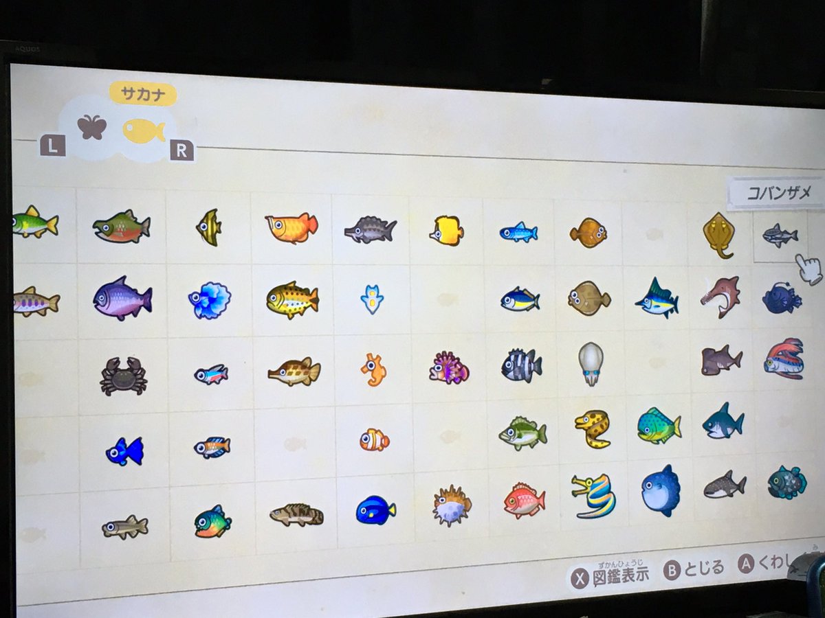 ツキヂ 料理 日常垢 あつ森 魚図鑑の進捗なう 今取れてないのでわかってるはデメニギスとピラルクとデメキンとゴールデントラウトなんやけど ほか分かりますか あつ森