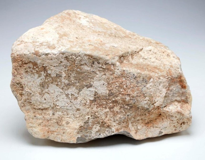 kpen33's tweet photo. @YorkshireMuseum @YorkCastle @SMTrust @BarnsleyMuseums @WFMuseums @BradfordMuseums @LeedsMuseums @ERidingLMA @Hull_Museums Me: And this is part the ballast of the HMB Endeavour, thrown overboard when they struck the  Great Barrier Reef...
Student: It's a rock?
Me: Yes...but it was very important balance the ship... Fine, do you want to go on the submarine instead?
#DullestObject  
#CURATORBATTLE https://t.co/3nOyixhkJI