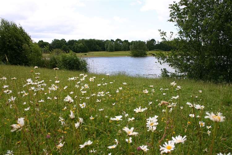 Kent_Online's tweet photo. While we can still get out and enjoy a stroll, here's a look at the best open spaces to take a walk in Kent. https://t.co/CEpozklg9g https://t.co/np9BQBeJKc