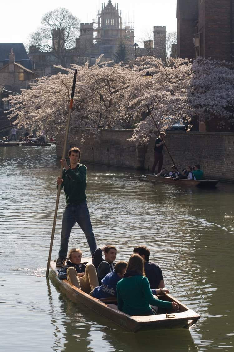 Punting on the River Cam in spring (2011).  #DreamingOfTravel  #Cambridge