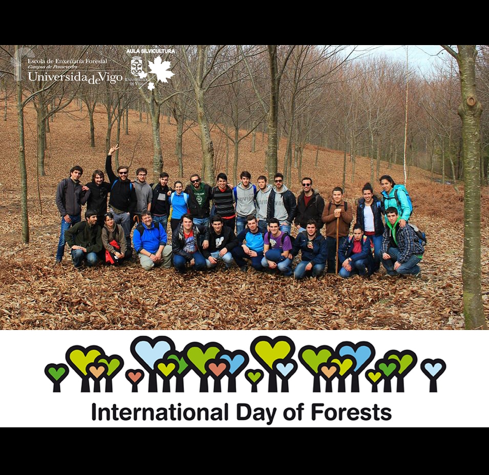 #Feliz #Diainternacionaldelosbosques #IntlForestsDay #InternationalDayOfForests2020 #DiaForestalMundial