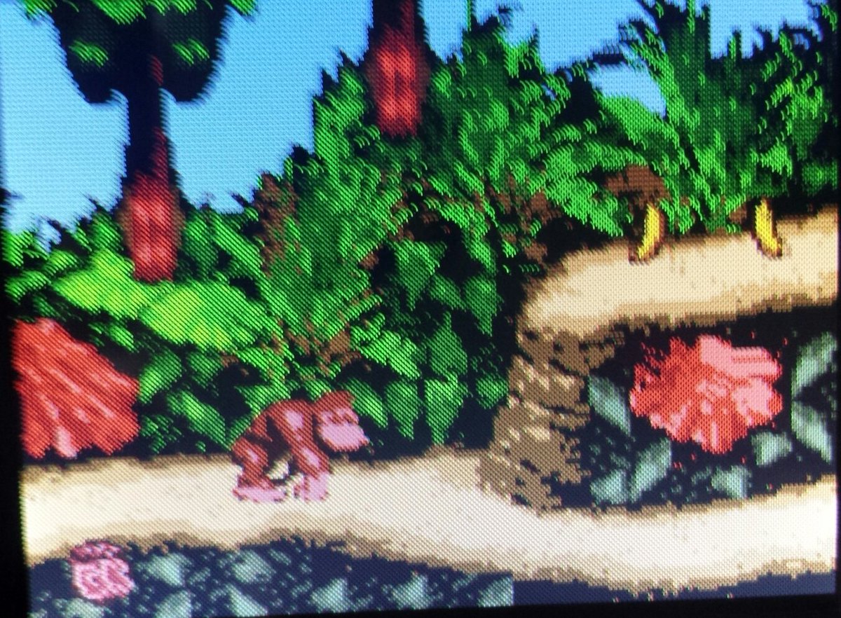 O Xrhsths Nori Sto Twitter ゲームボーイカラーのドンキーコング01をプレイしてみたけど スーファミのスーパードンキーコングと近い感覚で遊べるのすごいな 色数結構多い O O