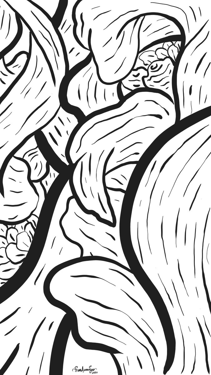 Sue Anna Joe On Twitter Digital Coloring Template I Made This Just For Ya All To Colour I Suggest Using Autodesk Sketchbook Or You Can Print It Out Also Made It So You