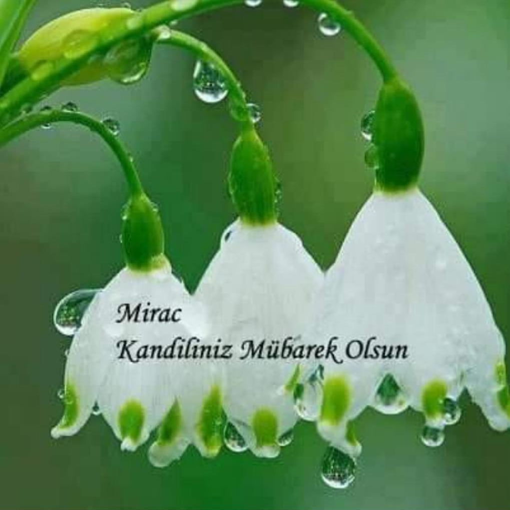 Mahmut Ulukuş (@ulukusmahmut) on Twitter photo 