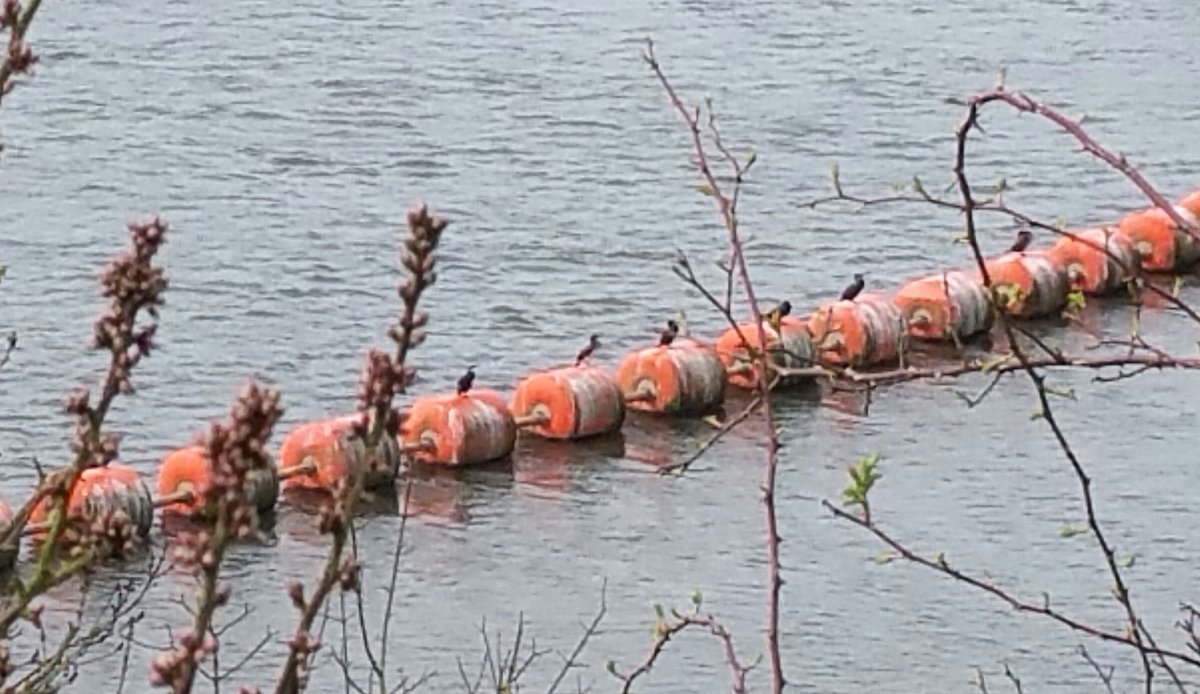 shennty's tweet photo. The Sentries line up at the head of the Wear ....Gunthorpe.
#tenshun https://t.co/qG6qcmwC5k