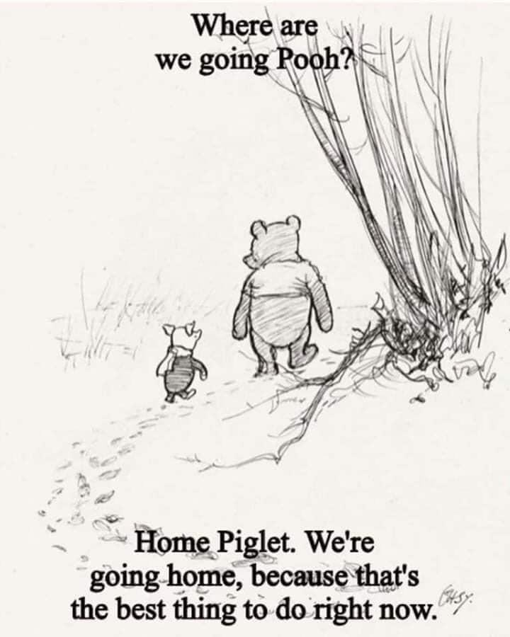 DrSarahJarvis's tweet photo. Winnie-the-pooh may be a bear of very little brain but he has this one completely right.

Except that he really ought to be at least 2 metres away from Piglet! #SocialDistancing #Covid_19 https://t.co/7WD3njG21O