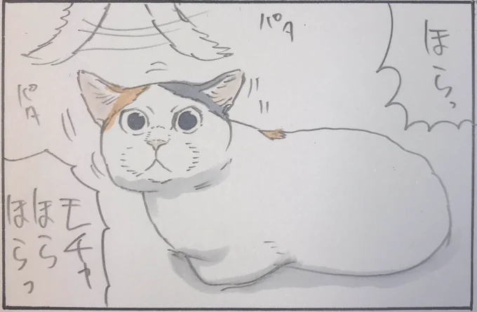 『来ない時の顔』 