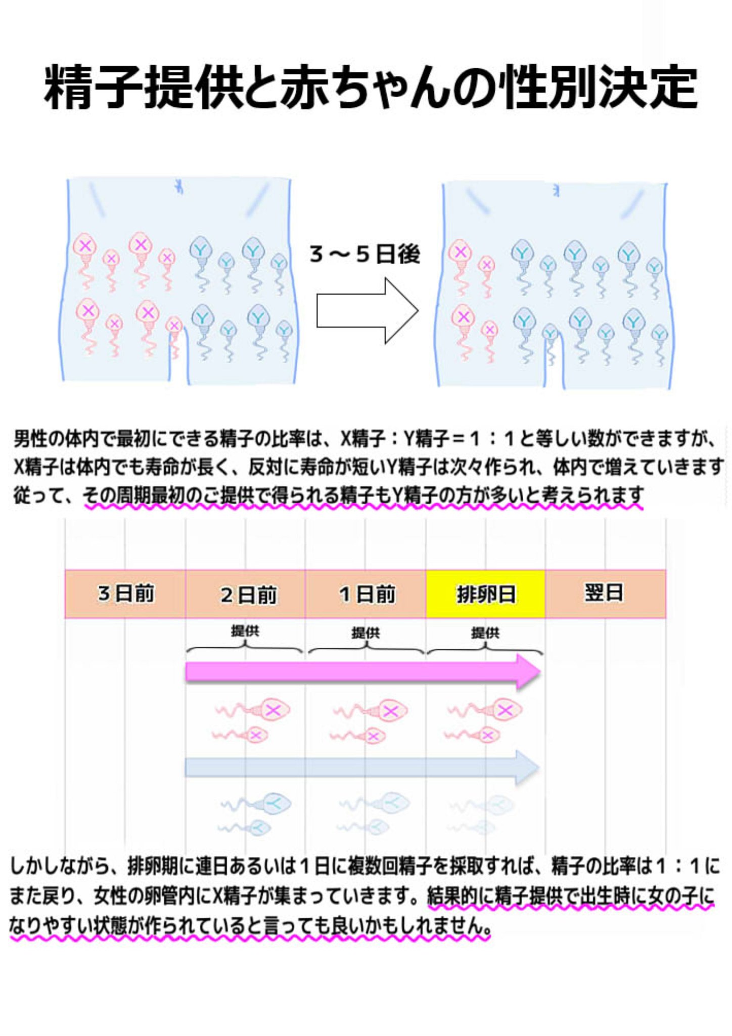 A型 Ao 精子提供 長野 東京 Pa Twitter 射精から次の射精まで間隔が長いと 体内でy精子の作られる回数が増え はじめのご提供のさいには男の子をご懐妊しやすい状況でありますが 連日 あるいは1日おきに シリンジ法をすることによって 多くのドナーは寿命の長い A型 Ao 精子提供 長野 東京 Pa Twitter 射精から次の射精まで間隔が長いと 体内でy精子の作られる回数が増え はじめのご提供のさいには男の子をご懐妊しやすい状況でありますが 連日 あるいは1日おきに シリンジ法をすることによって 多くのドナーは寿命の長い