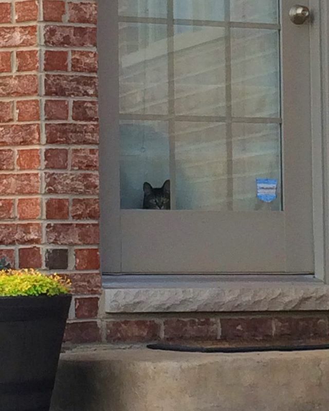 Rubiyat82's tweet photo. I always feel like somebody's watching me.... and I have no privacy.
.
.
.
.
.
#gaming #followerme #likeforlikebacks #instagood #followers #follower #like4likes #f4follovers #50likes #mdr #like50 #follower4follower #follow4followback #likelike https://t.co/1rGK3hjD8H