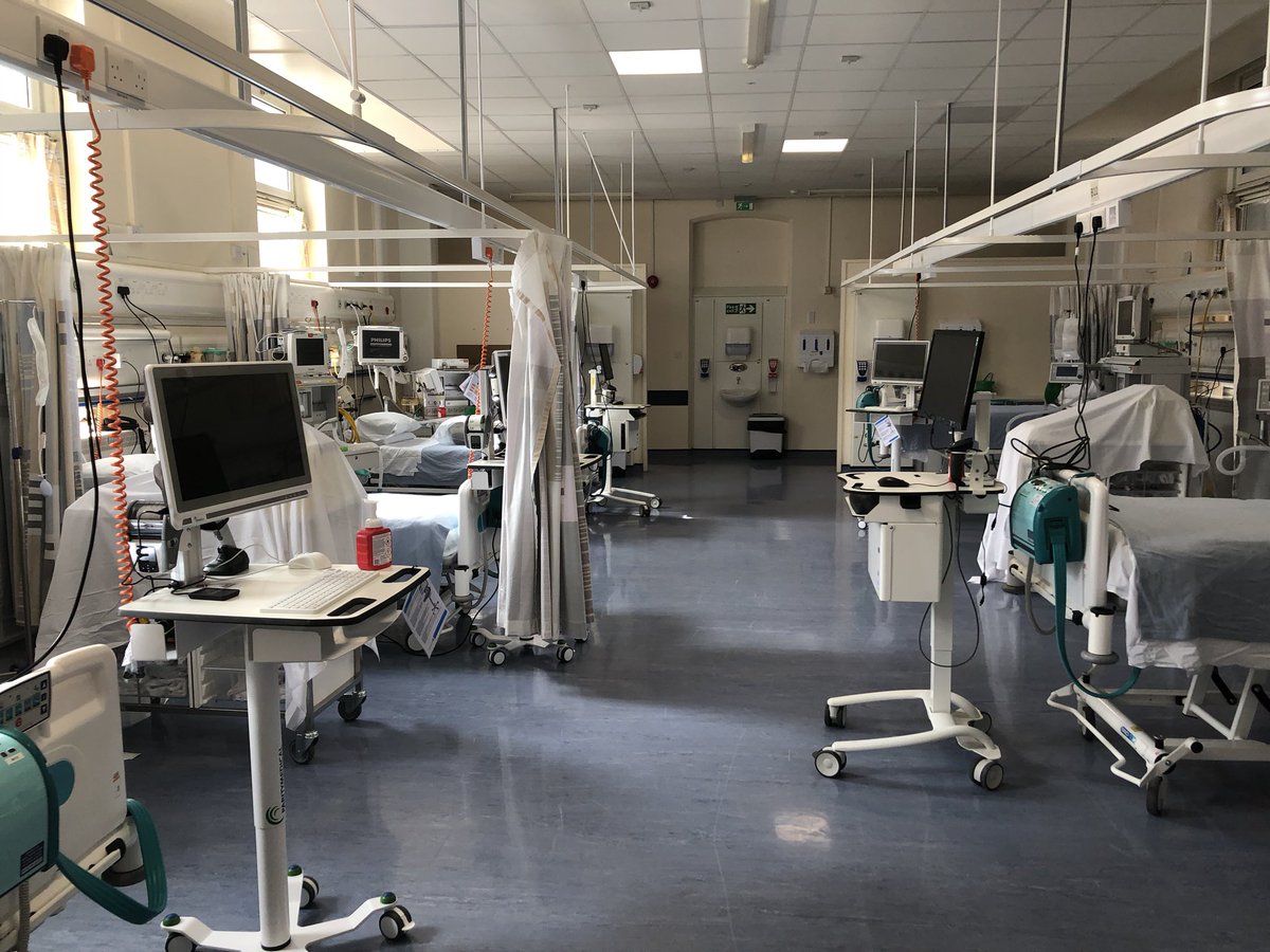 Roger Stedman tweet media