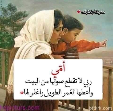 AmrNagib15's tweet photo. 😍😍 https://t.co/w6IjBflqjc