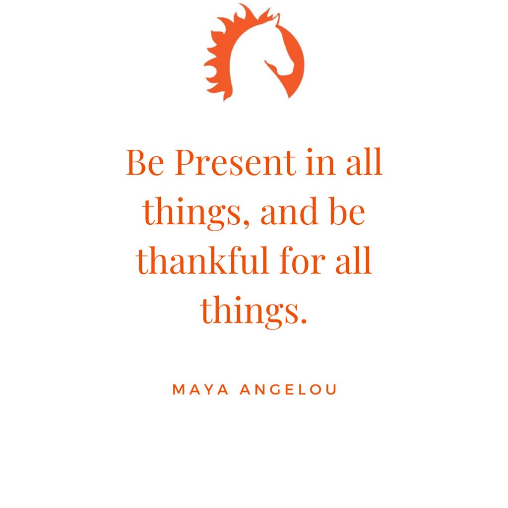 sunnyside_mike's tweet photo. #sunnysidefarm #BePresent #LiveIt #leadership #leadershipdevelopment #retreat #equine #horses #teambuilding #inspire #motivation #trust #serveothers #purpose #unexpectedpath #gratitude #grateful https://t.co/PtGPAHPyfe