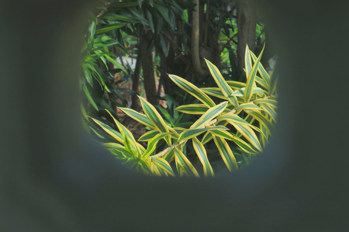 ilymargaret18's tweet photo. 1📸✨
.
.
🖼️original photo (left)
🖼️edited (right)
//
📸: Canon EOS M3 | 15-45 mm
.
.
.
✨03/20/2020✨ Friday✨
//
#vsco #vscopic #vscoedit #vscoph #vscoph #vscocam #vscodaily #vscogood https://t.co/FOrLcp31Eu