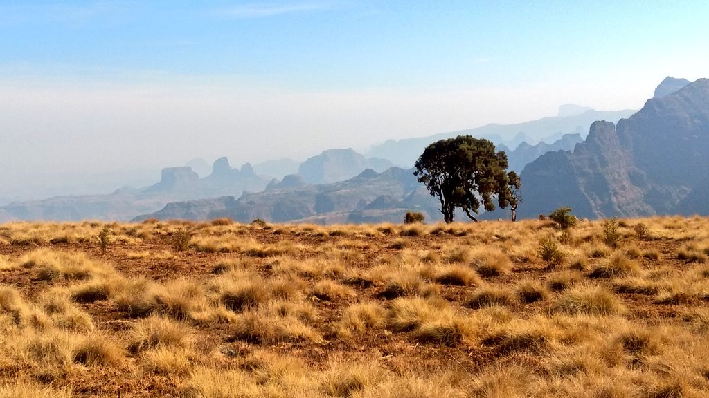 scarrera11's tweet photo. It's hard to leave this place. But it's harder not knowing what the next several months will bring. I hope we all come through it stronger
โค๏ธ๐ช๐นโค๏ธ
#yearwithgeladas #smgrp #Ethiopia #simienmountains https://t.co/aZ2l7zZZFL