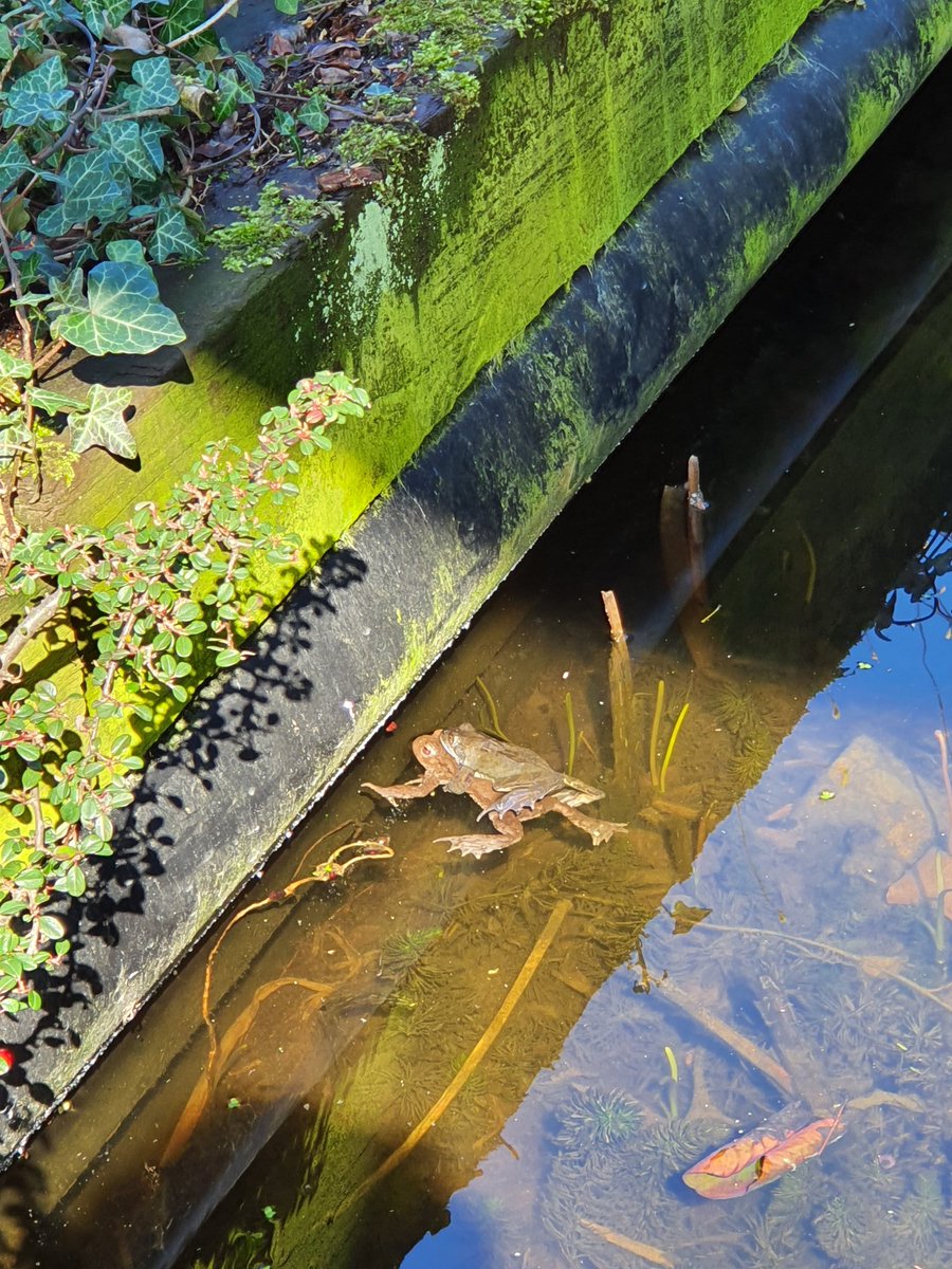 det är kul när det går bra för andra