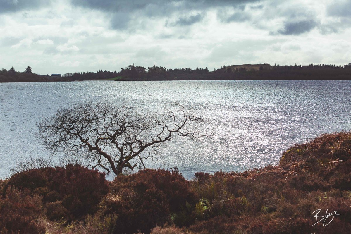 bobloganmedia's tweet photo. Lough Fea. Enough said 😂
#wildatlanticway #raw_ireland #stayandwander #littlepiecesofireland #rawireland #raw_northernireland #moodnation #landscape_features_ #purenorthernireland #gameofthrones #discoverearth #landscape #landscapephoto #landscapephotography
#northernexposure https://t.co/xrPuItuxAY