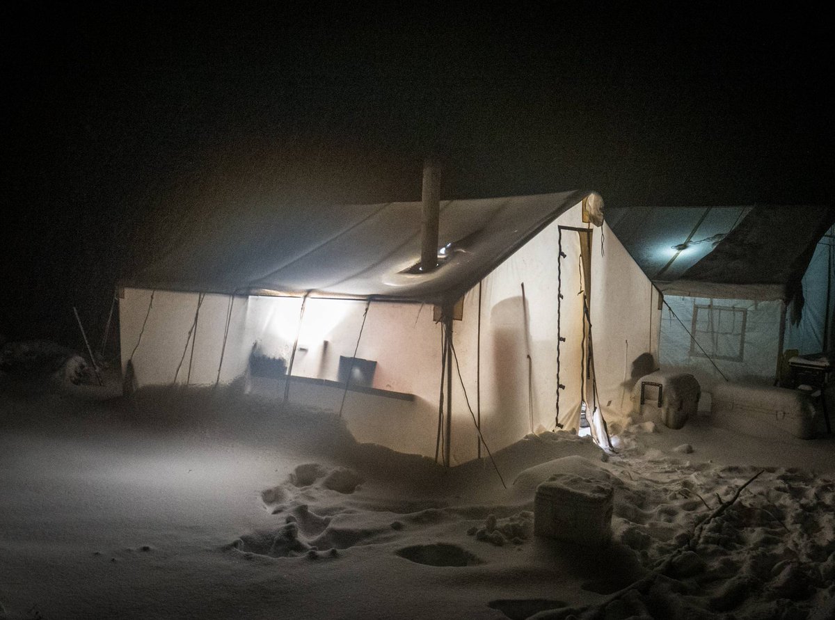 huntavid's tweet image. Late season hunts can be challenging when low temps and weather are involved. Good gear and a positive attitude will help you overcome obstacles that could otherwise break your hunt.   
.
.
.
.
.
#browngold #bullelk #elk #bigbulls #wapiti #wapitiwednesday #publicland #sickforit…