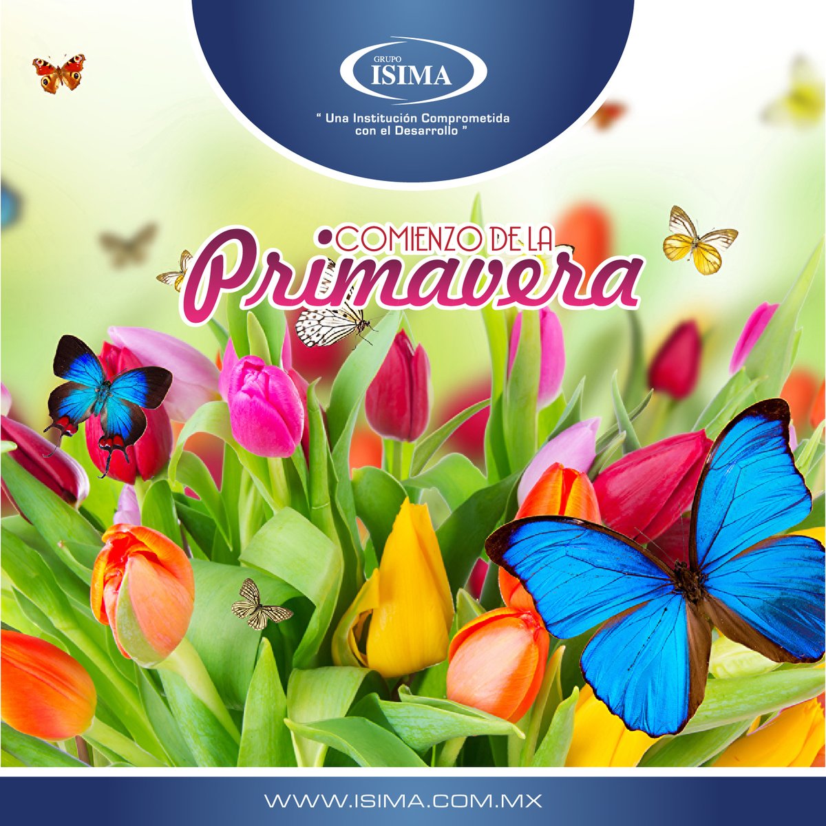 Comienzo de la Primavera🍃🍀☘️🌸💐🌺🌻
#ISIMAUniversidad #Primavera
isima.com.mx