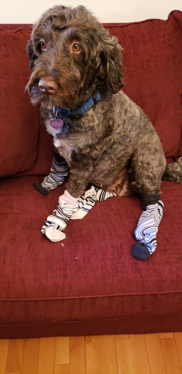 stnkspirit's tweet photo. Tweet us your pictures showing off your crazy socks for World Down Syndrome Day. These girls have the Spirit! #SpiritRipples #CalledToBelong #Conscience #EnjoyTimeWithFamily https://t.co/hPUb0Rryi8