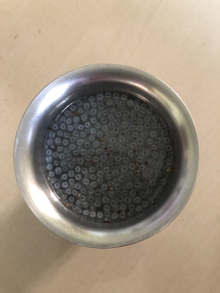 pnbalamurugan's tweet photo. Happiness multifold when our simple drinks are value added with திருநீற்றுப்பச்சை விதை (Basil Seeds) harvested from our own #terracegarden #organicgarden #antioxidants #fightwithflu https://t.co/N7W8aIpRtq