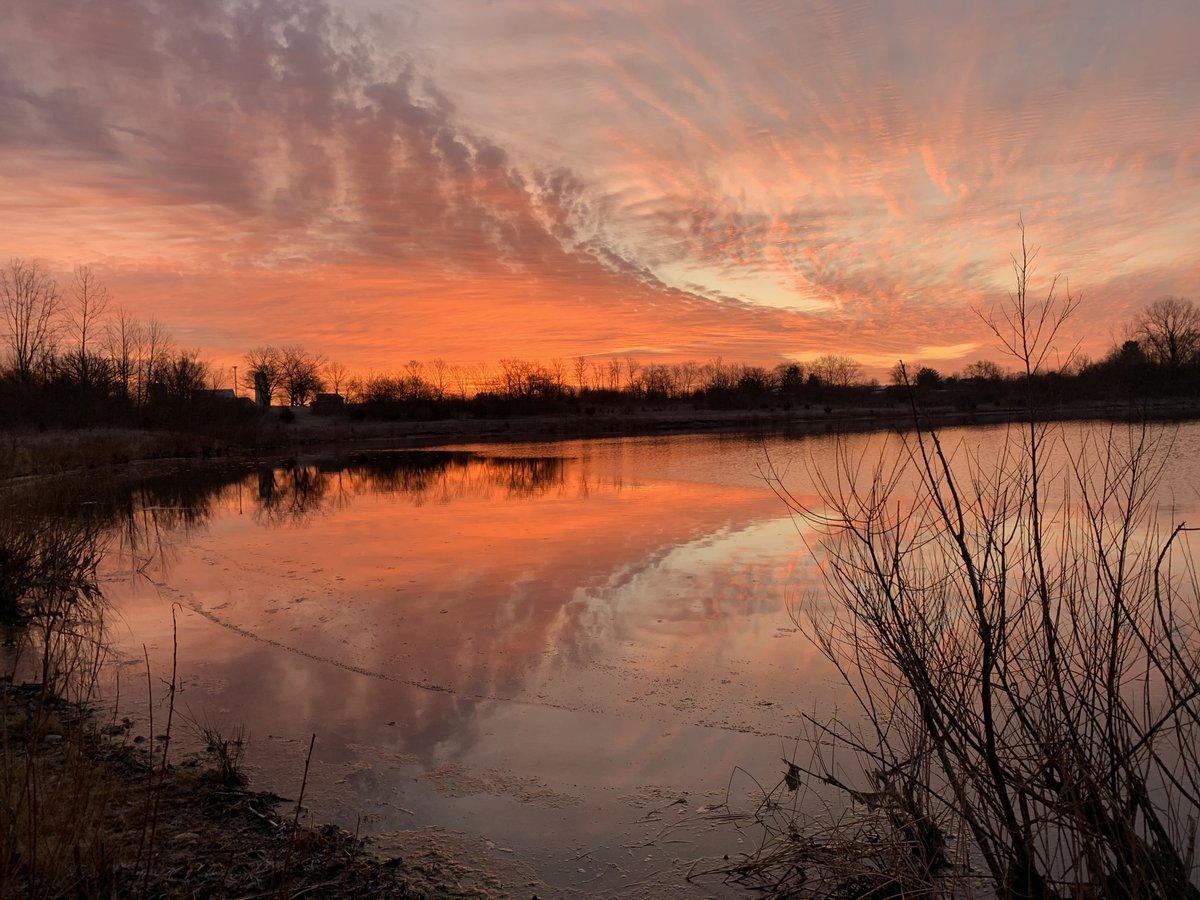 CbusMetroParks's tweet photo. We'd wake up at anytime to see this incredible sunrise over Darby Bend Lakes at Prairie Oaks 😲 Walk on the Lake View and Darby Creek Greenway trails to see this in the morning. Photo: Kerry Knowles
#cbusmetroparks #prairieoaksmetropark #sunrise #nature #parklife #getoutside https://t.co/2t5tFuyt42