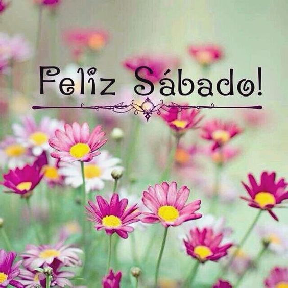 "La primera vez que me engañes, será culpa tuya; la segunda vez, la culpa será mía." Proverbio árabe... #FelizSábado #HappySaturday #Saturday #saturdaymorning #SaturdayMotivation #LBGInsurance