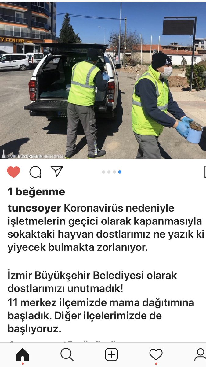 siring's tweet image. Evet .. sokakta yaşayanları , köpekleri , kedileri unutmayalım .. hep birlikte bu işin üstesinden geleceğiz .. İzmir  Belediyesi ‘ne bravo 👍 @izmirbld