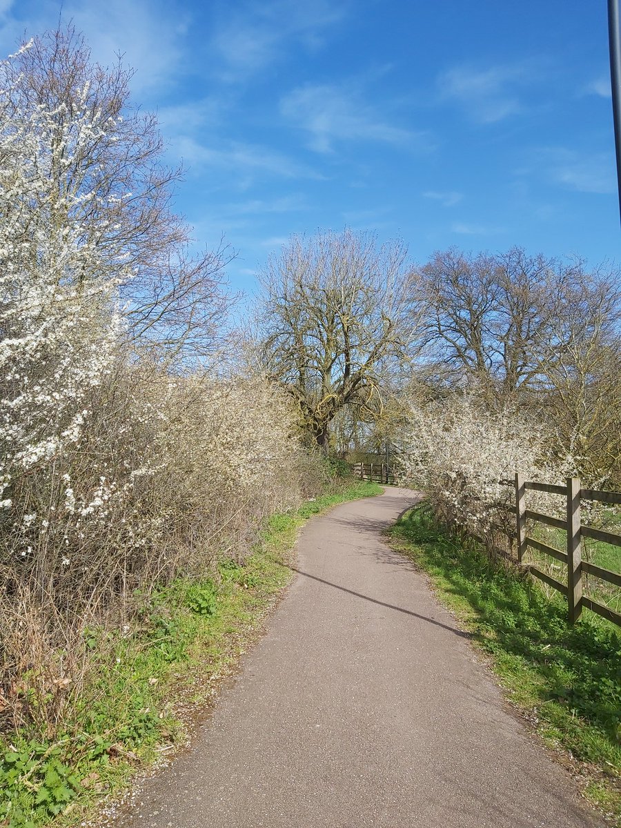 SallyannHR's tweet image. #Covid_19 you can&apos;t cancel #Spring #FindJoyInSimpleThings @ccs_nhst @abbie_CCS  #CCSLiveLifeWell