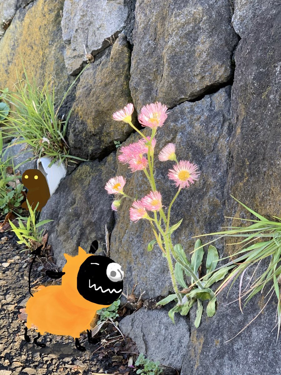 Iphoneマークアップお絵描き Iphoneマークアップお絵描き