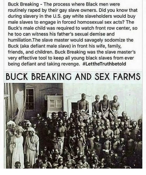 There’s a lot to unpack with these so called “buck breaking” historical memes. It actually doesn’t make zero sense. Existing proudly as gay in antebellum America? Unheard of & unrealistic. Man on man sex was illegal during antebellum America. & Practically unheard of...