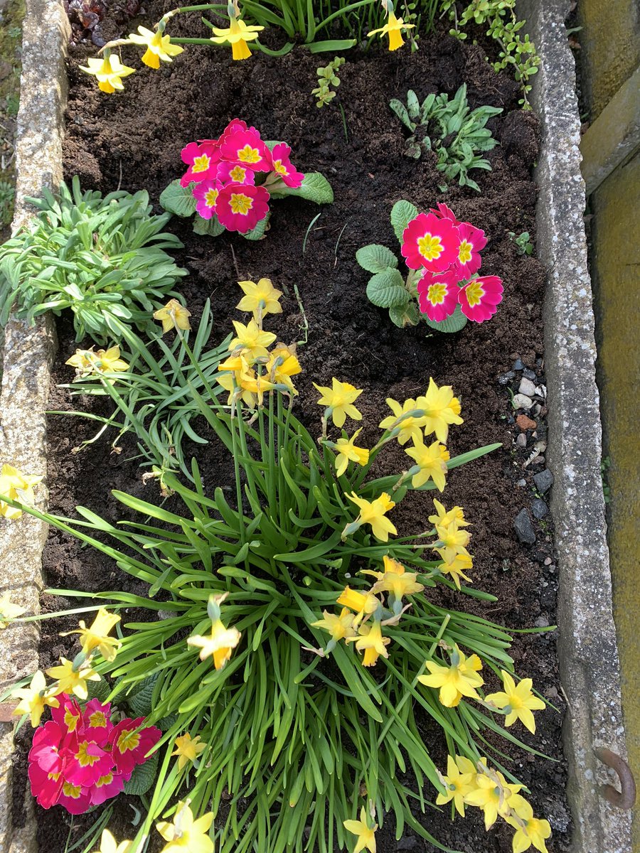 calverhall_in_bloom tweet media