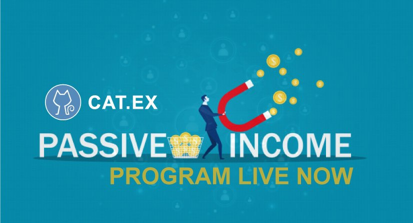 Catex Exchange tweet media