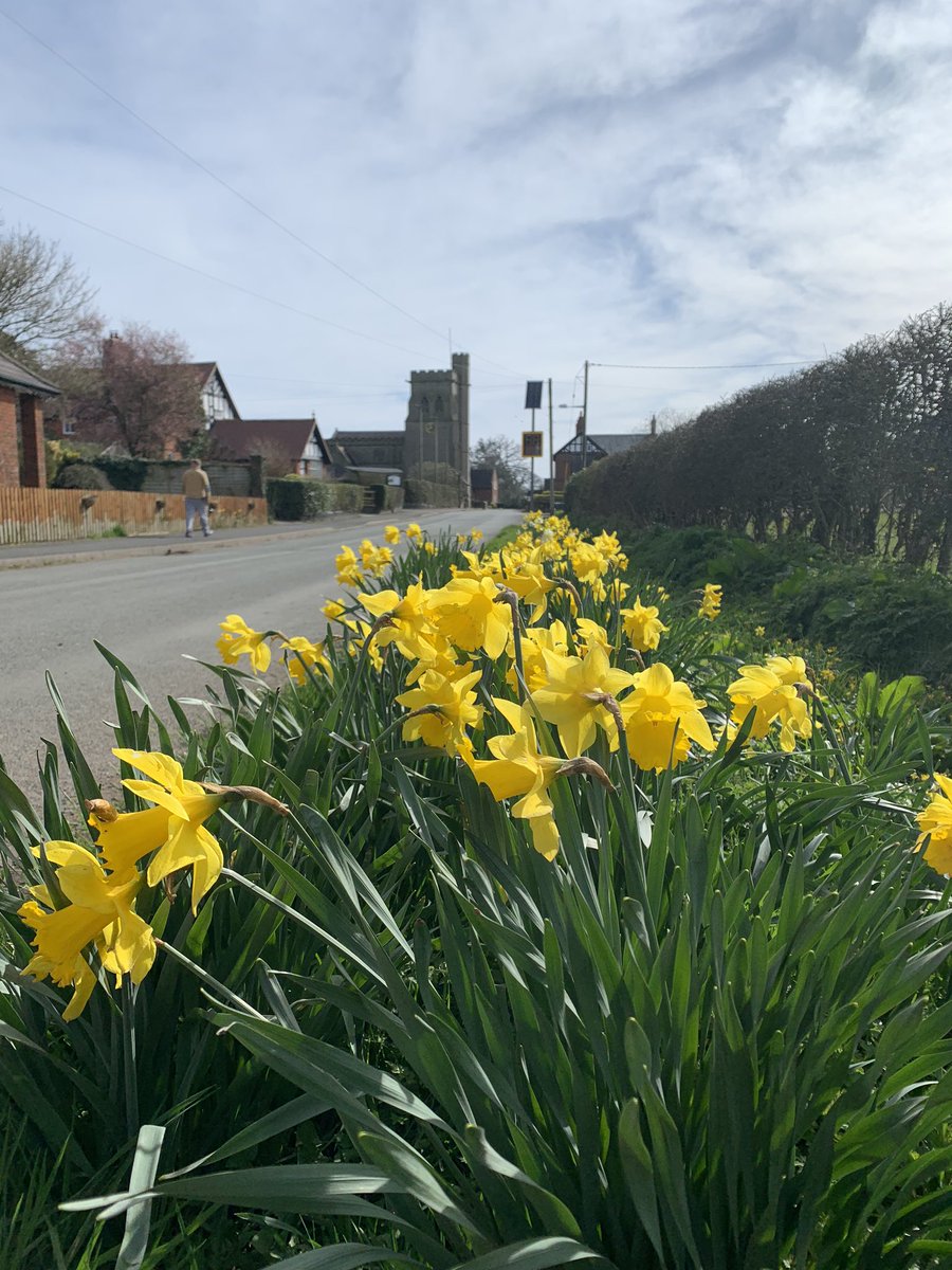 calverhall_in_bloom tweet media