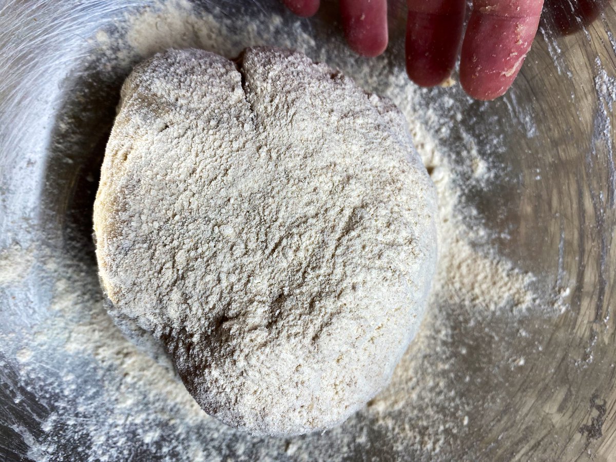 Adding the coriander, then a wet autolyze for 30 minutes (it’s a technique that helps the ancient, low-gluten grains make fluffy loaves) and then dough! How are you staying awake! Oh yeah captive audience.  #QuarantineBakeIn