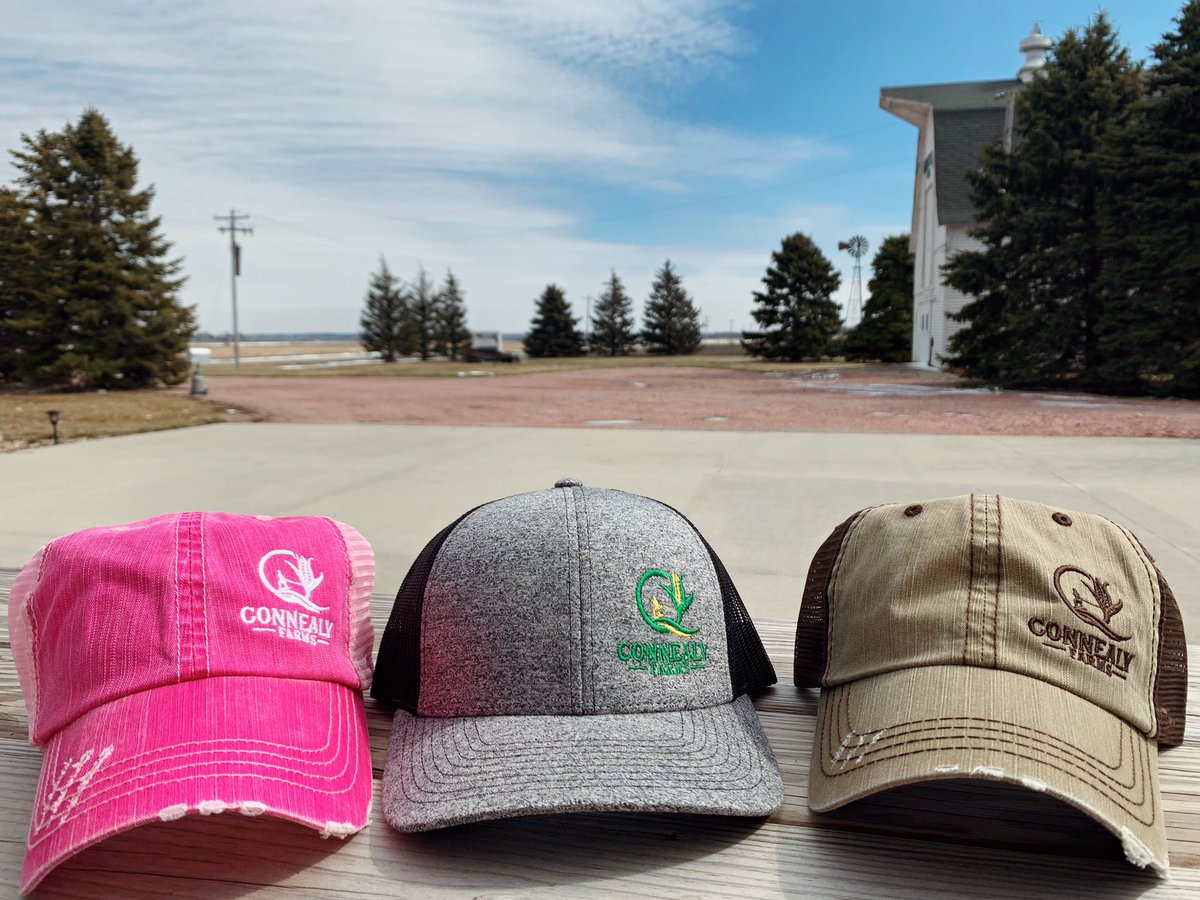 Q Connealy tweet media