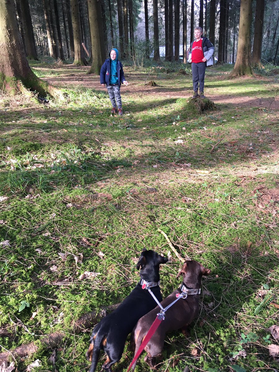 WenTimberCentre's tweet photo. A lovely bit of social distancing today up the forest. The forest is looking fabulous and it was busy but if you keep off the major paths it is a great little get away from it all 🌳💚😊 #socialdistancing #abitoffreshair #offthepath #wentwoodforest #southwales #staysafeeveryone https://t.co/7Zy1F6ONUq