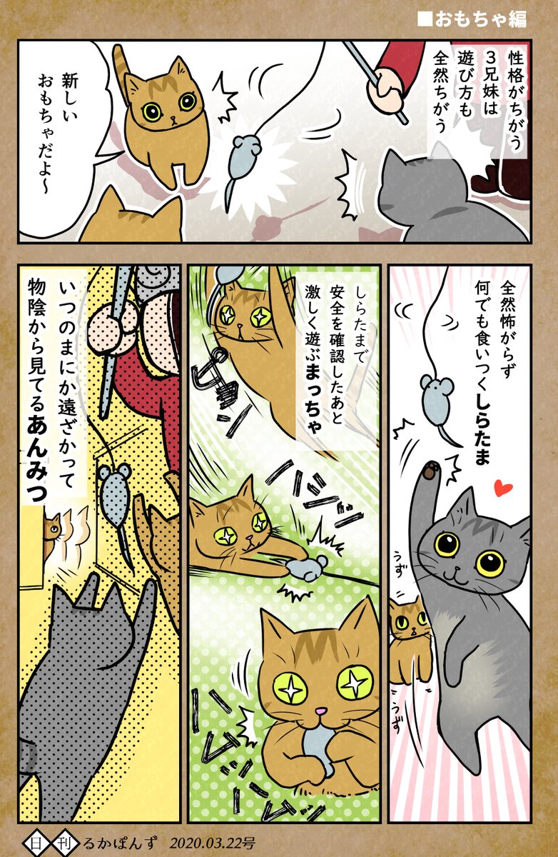 数年前に保護した猫3兄妹の性格がぜんぜん違う話、おもちゃ編。

#保護猫3兄妹 #猫 #猫漫画 #コミックエッセイ #猫マンガ 