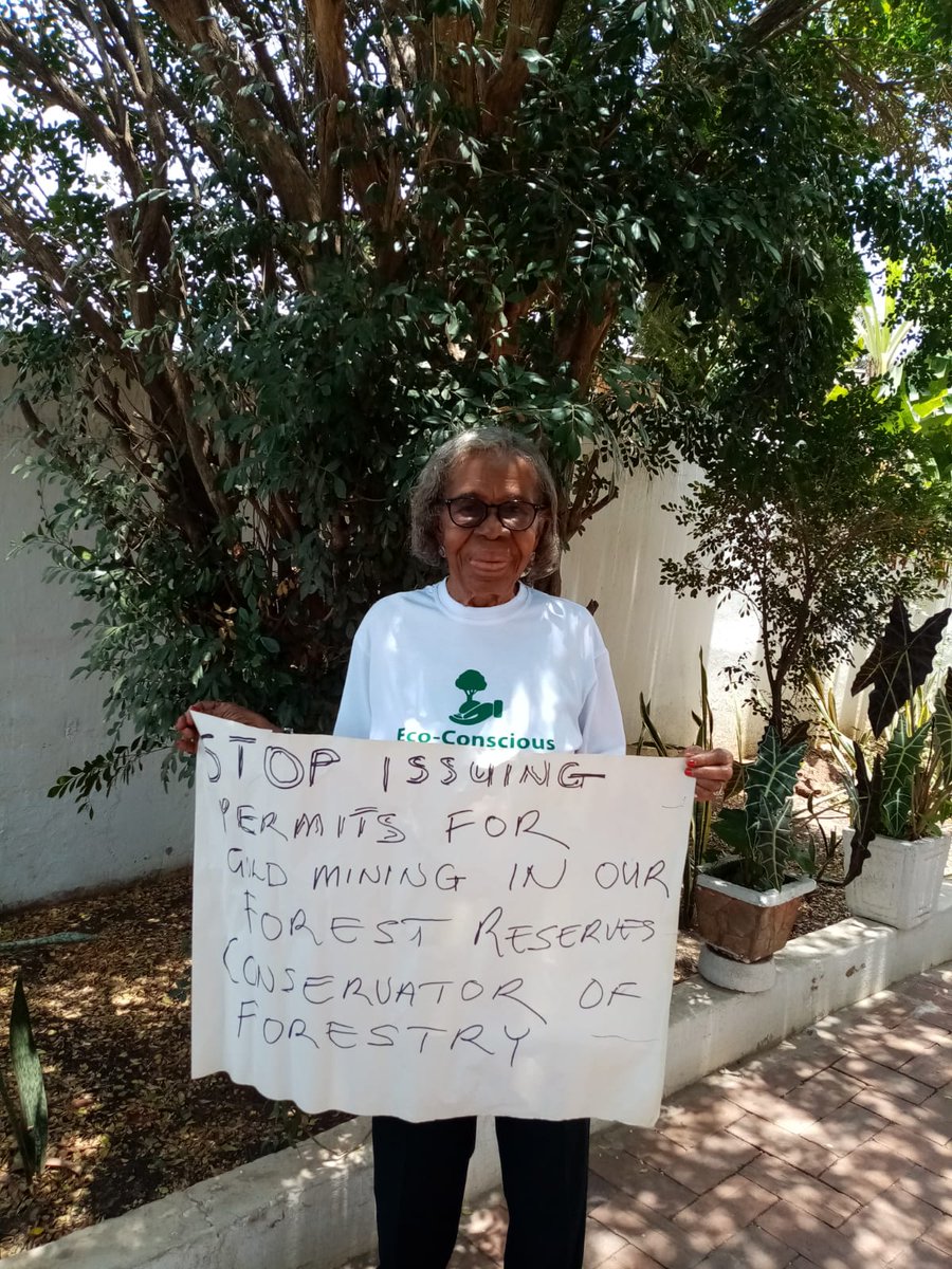 BBMBMC's tweet photo. We even had a nonagenarian supporting  #EcoConsciousCitizensGH @arochaghana #WorldForestDay campaign asking:

President @NAkufoAddo, please #ProtectOurForestsAndWaters #GoGreenGhana

https://t.co/1OjbWSznrQ https://t.co/U0bs9BXayB