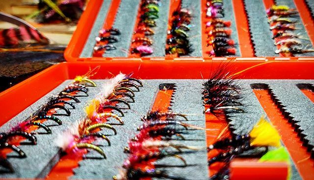 MFlycraft's tweet photo. Unfortunately stuck in self isolation due to a feverish child. Getting my nymph box finished. Stay safe everyone! 
#salmonflies #salmonfishingscotland #salmonflyfishing #thetugisthedrug #flytyingjunkie #flytyingart #steelheadflies #flytying #flyfishingsc… https://t.co/dh2E3sceQl https://t.co/EPig7r5t86