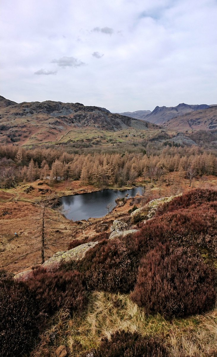 First Wainwright of 2020 - Holme Fell from Yew Tree Tarn &amp; descended via Hodge Close!

Phenomenal views from the top, especially over Coniston Water, which definitely made it worth the scramble up some of the paths!

#NotJustLakes #LakeDistrict #Cumbria #GetOutside #Wainwrights