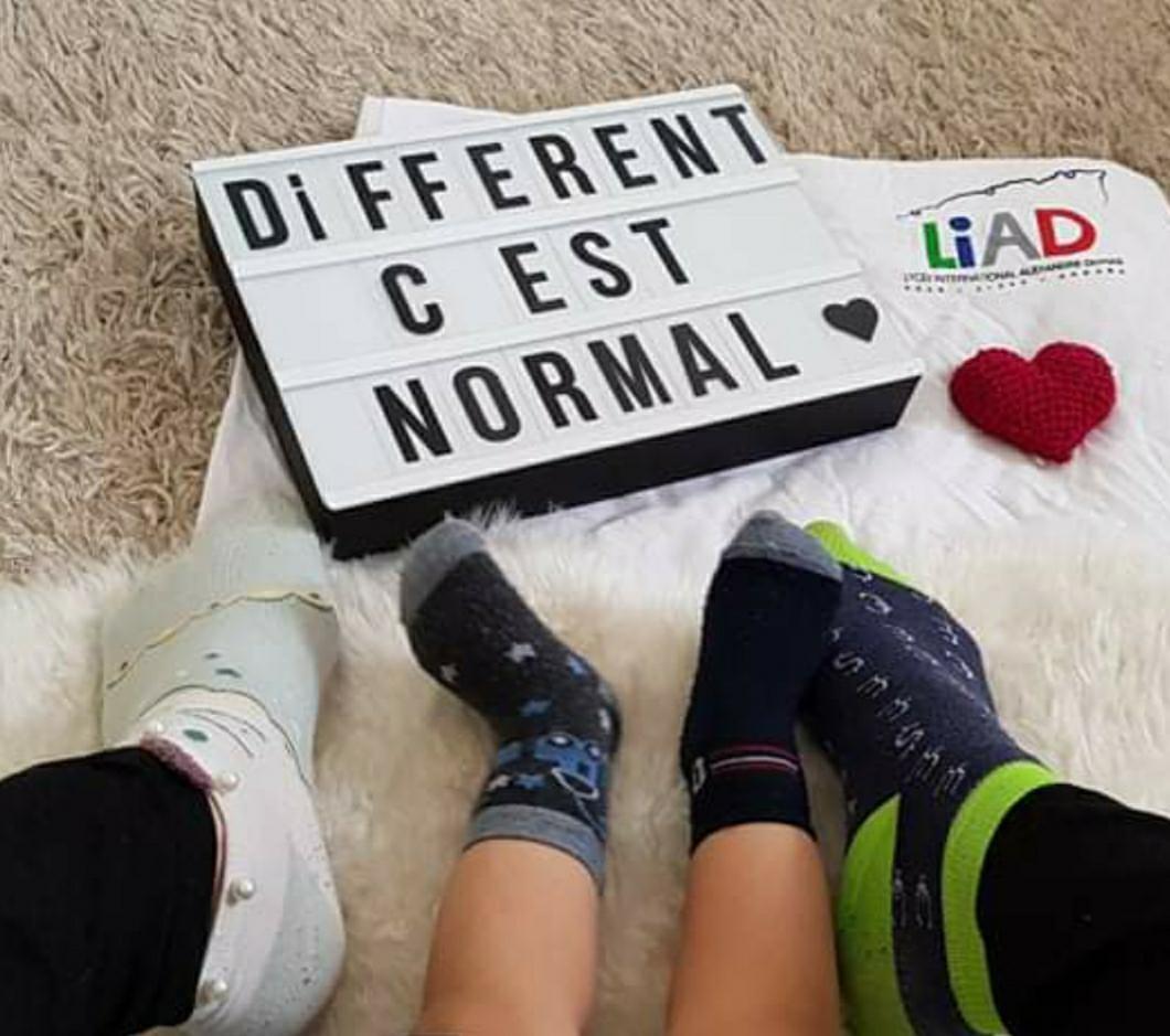 LiadAlgerie's tweet photo. Confinés et tous mobilisés, solidaires face à la trisomie 21 pour une société plus inclusive
#liadalgerie #epiad #aefe #trisomie21 https://t.co/AV9HC6jTFf