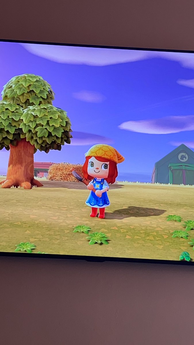 cristinabernxl's tweet photo. Supongo que todos sabéis estos pero para quien no lo sepa, si buscáis en google “Animal Crossing QR” podéis ver diseños súper bonitos que hizo la gente para AC New Leaf y pasarlo con la app del móvil a vuestro juego https://t.co/rUSZzX4TSA