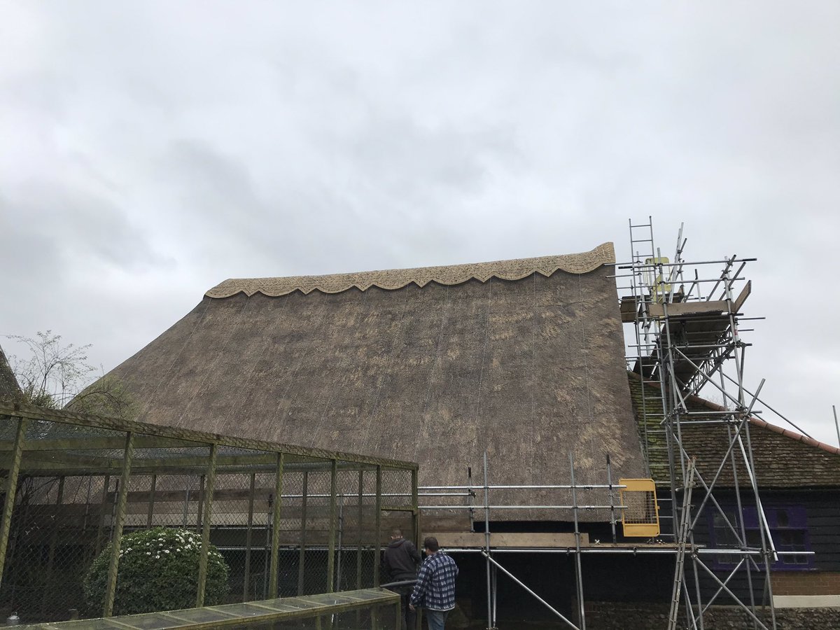 Here’s a before and after of a maintenance job we completed this week. #thatching