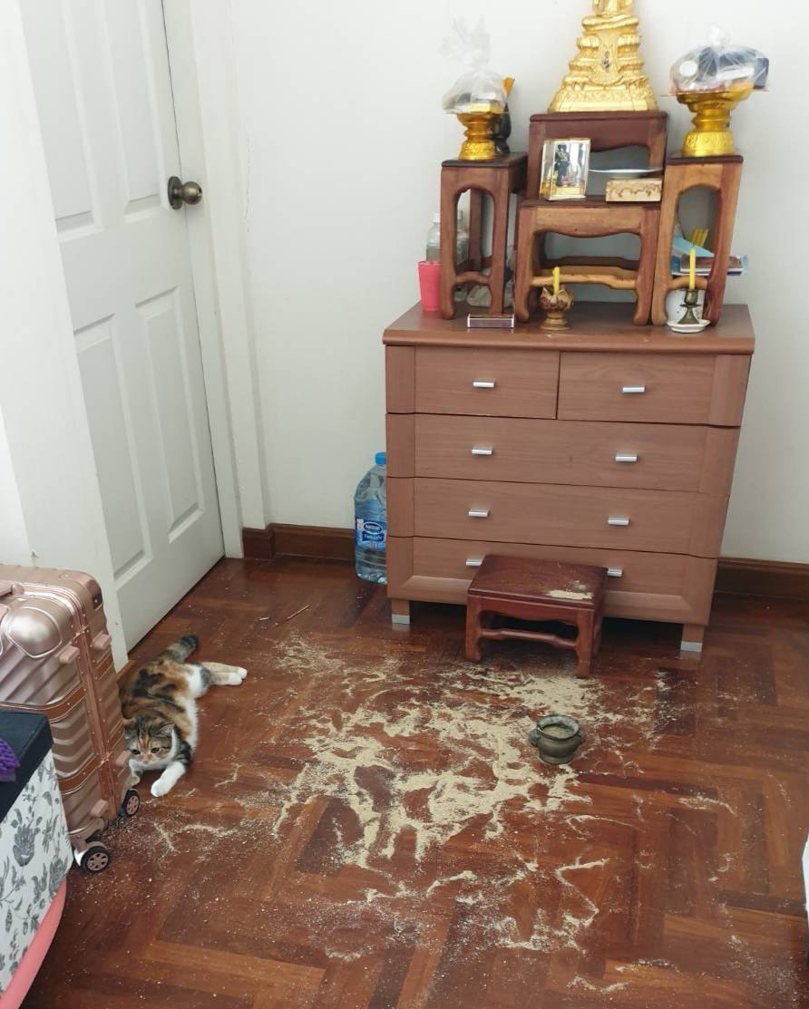 ขอให้มีชายหาดในบ้าน เพี้ยง!